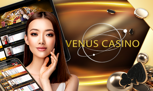 9p bet 4455 bet cassino H5