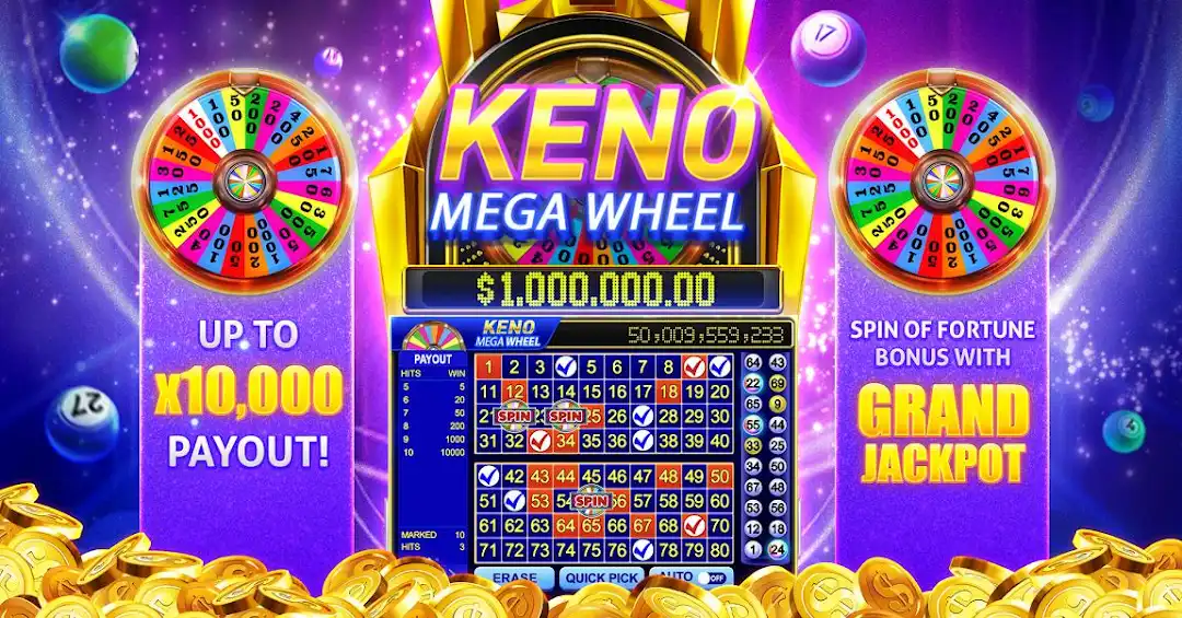 9p bet 4play bet cassino Android